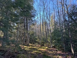 24163868