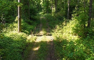 24164228