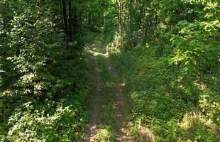 24164227