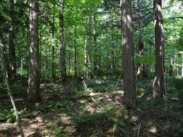 24164540