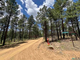 24193107