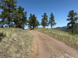 31652974