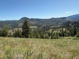 31652976