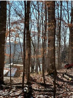 24201019