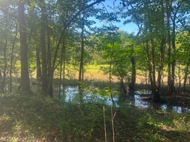 24201950