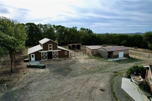 32952498