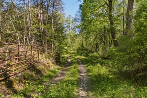 32684061