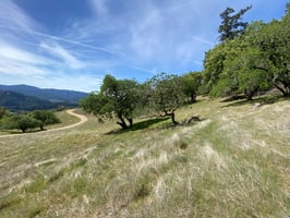 24216763