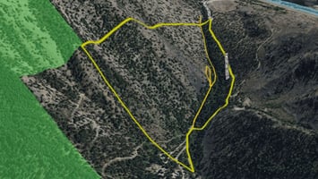 25449325