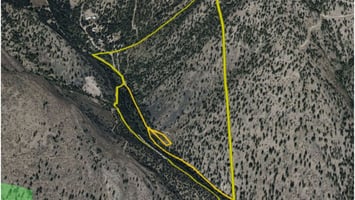 25449323