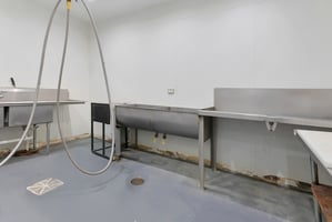 24617593