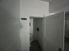 24223240