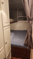29491178