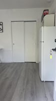 29491165