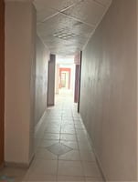 24245889