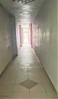 24245871