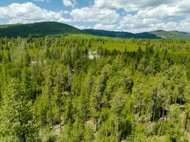 24333827