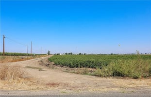 24345958