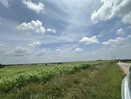 24347066