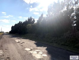 24354331
