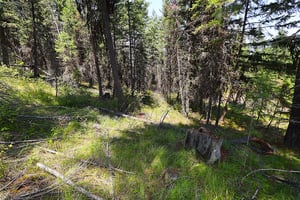 24396630