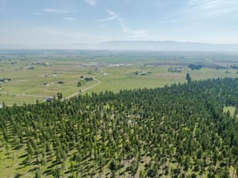 24396872