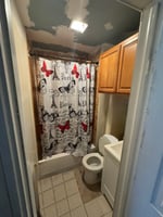 24402939