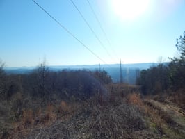 24406782