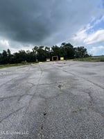 24599254