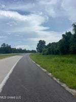 24599255