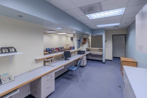 24427951