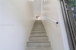 29051699