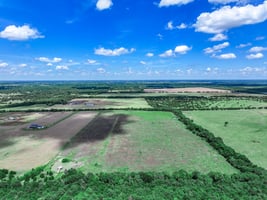24439447