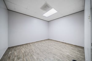 24442125