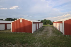 24455178
