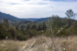 24456449