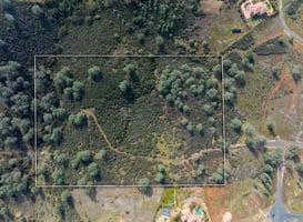 24456481