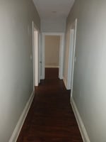24593406