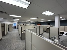 24459481
