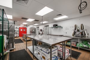 24592707