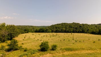 24593113