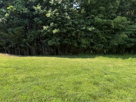 24593222