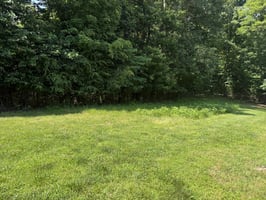 24593221