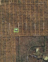 24595017