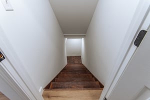 24595462