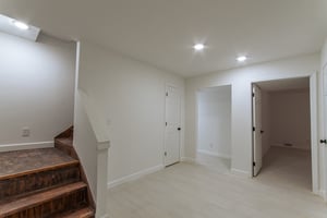 24595455