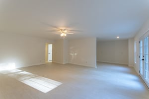 24595449