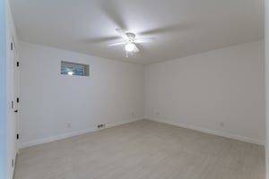 24595444