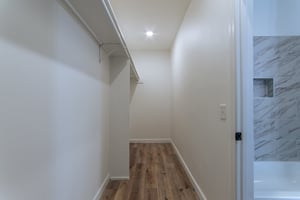 24595458
