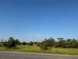 24598206